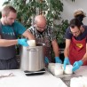 Atelier de suivi: Gouda, fromages à croûte lavé et fleuri