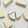 Dutch spoken cheesemaking workshop: Bloomy rind cheeses