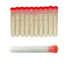 Beschermende cultuur: Gamma 1