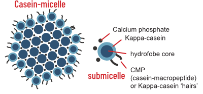 micelles en submicelles