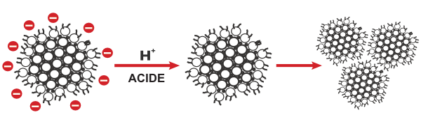 Coagulation par acidification
